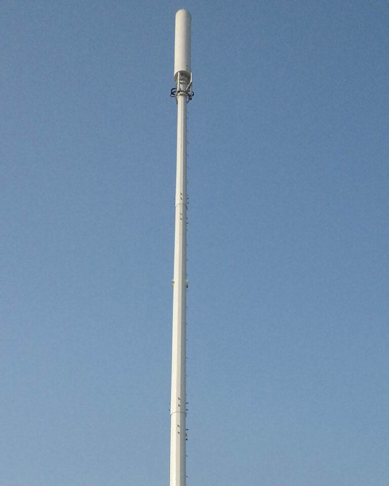 Monopoles